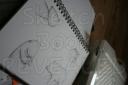 sketch5