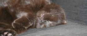 Monday ….. again