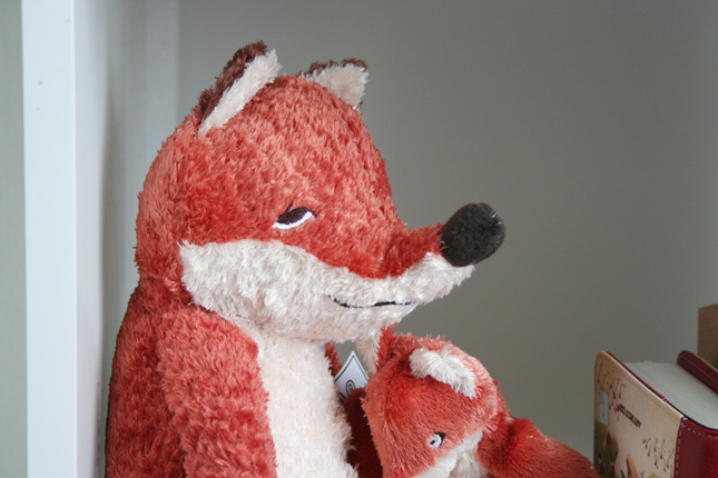 mr fox
