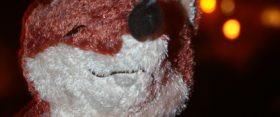 Walking in a Bloggy Wonderland