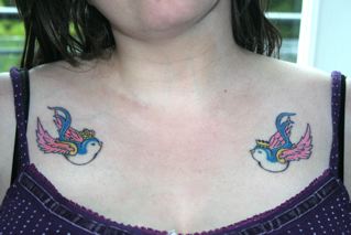 the swallows
